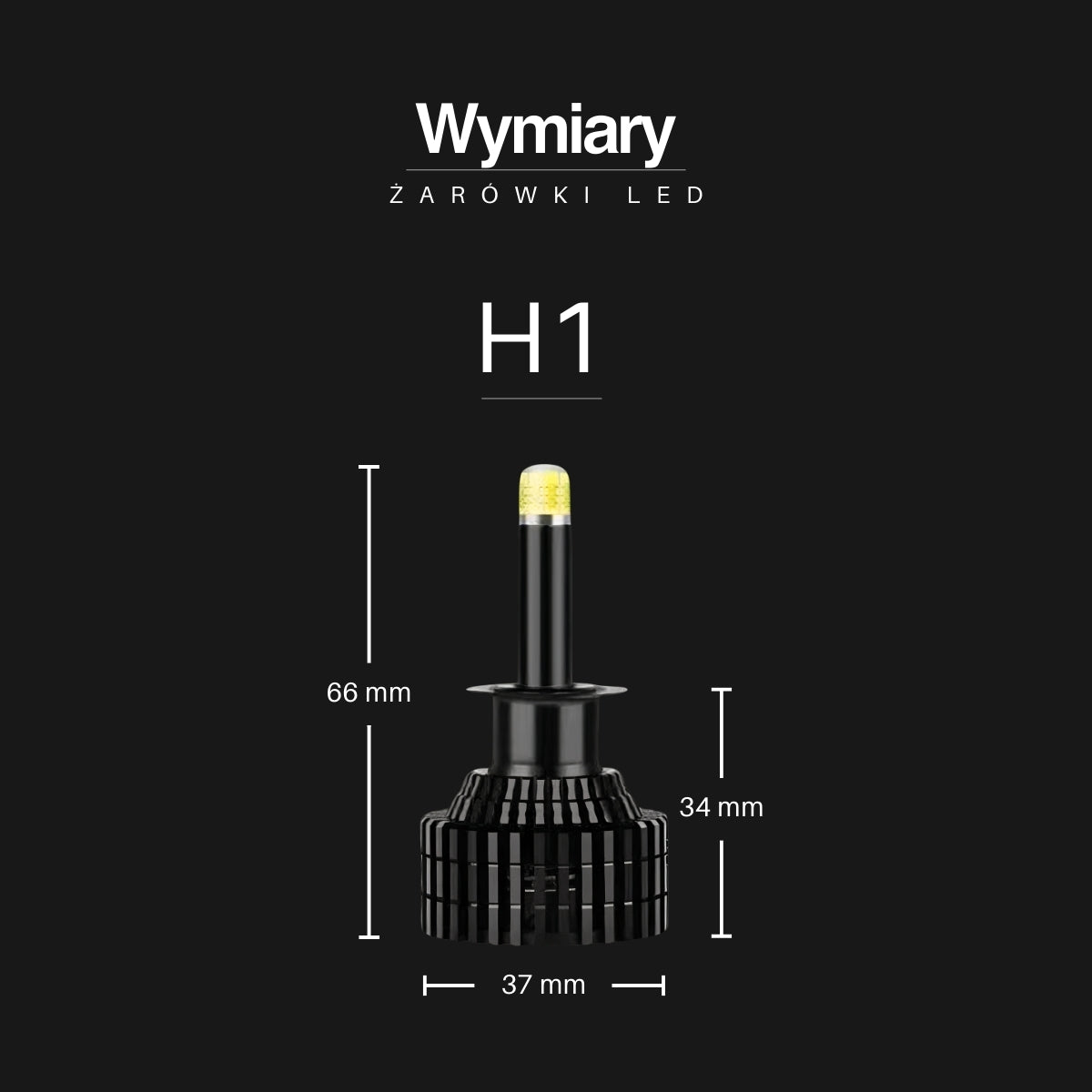 Żarówki LED H1 | EagleVision EliteX | 360° | 6000K