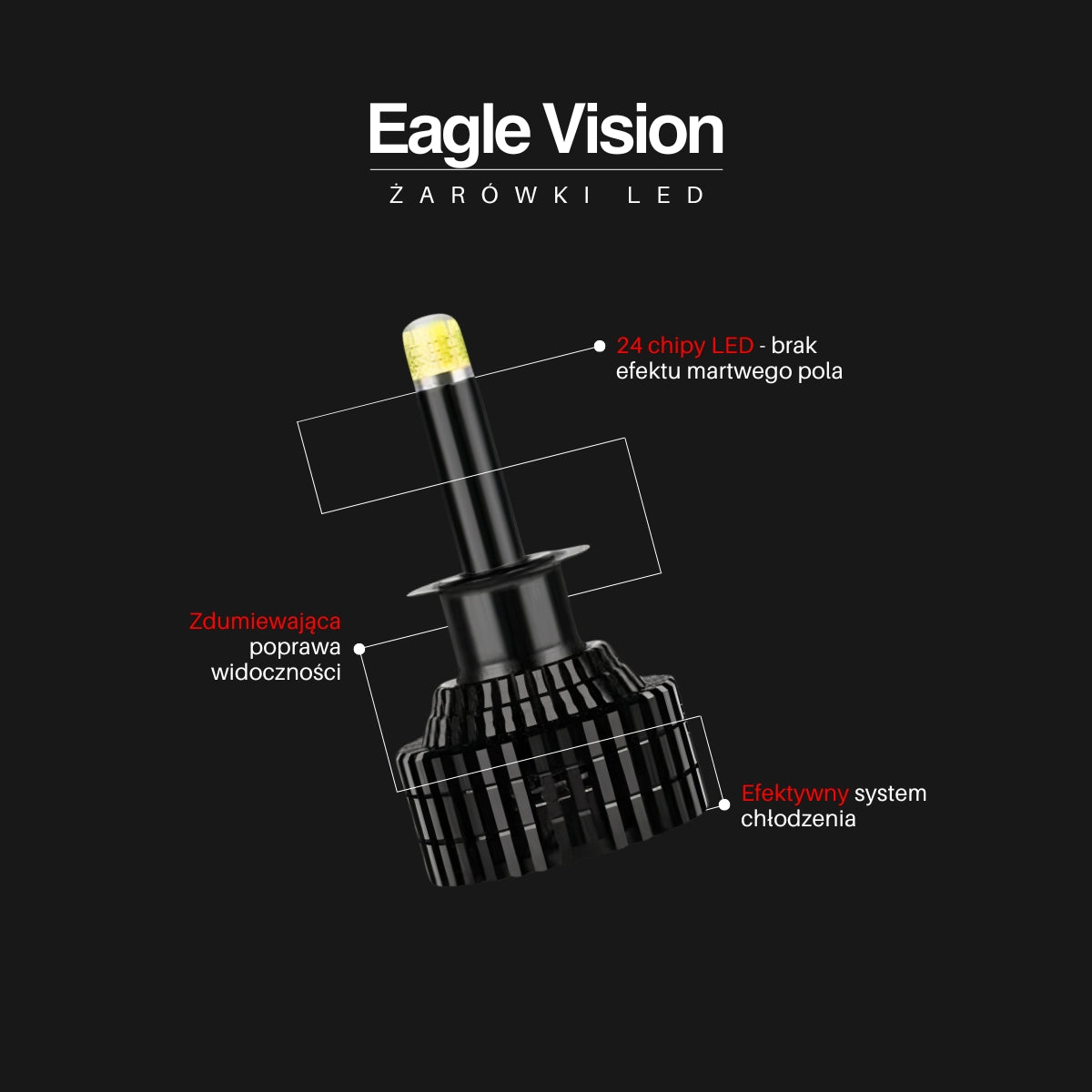 Żarówki LED H11 | EagleVision EliteX | 360° | 6000K