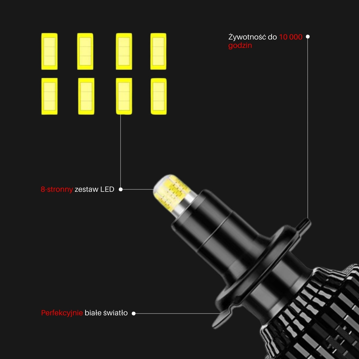Żarówki LED H11 | EagleVision EliteX | 360° | 6000K