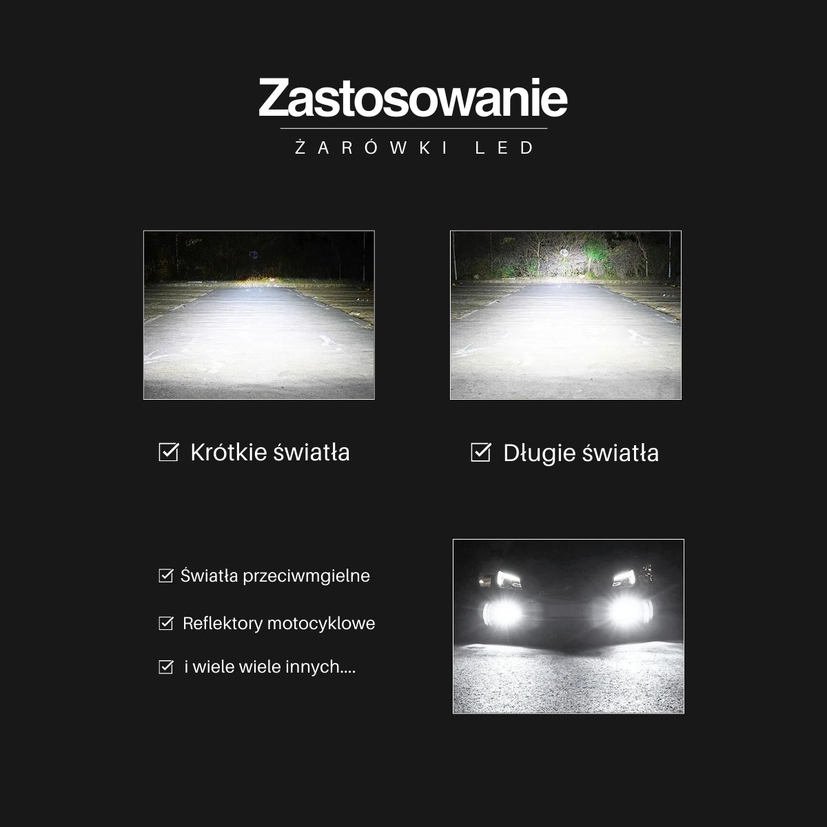 Żarówki LED H11 | EagleVision EliteX | 360° | 6000K