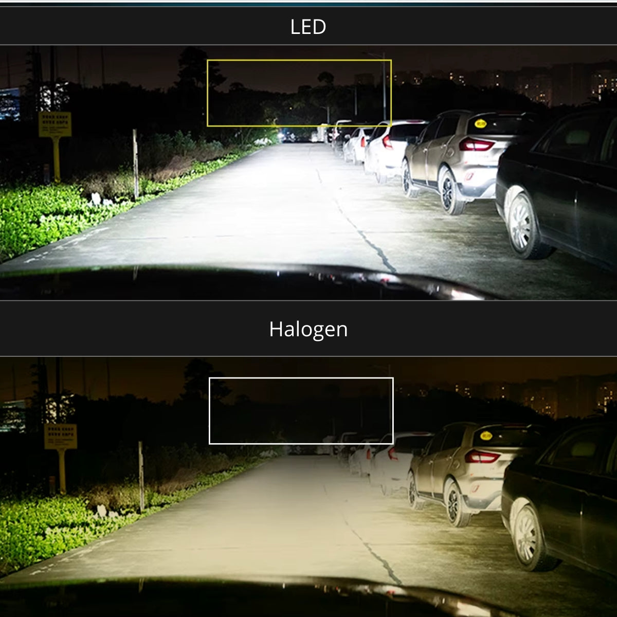Żarówki LED H7 | PEL UltraBeam | 360° | 6000K | CANBUS