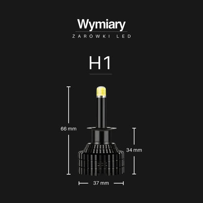 Żarówki LED H1 | EagleVision EliteX | 360° | 6000K