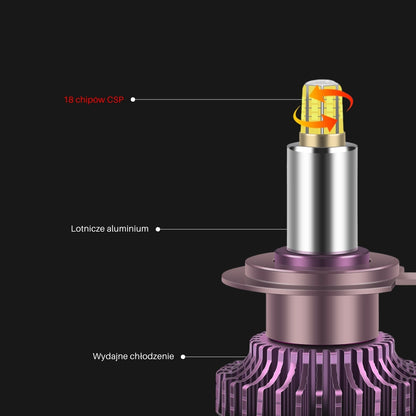 Żarówki LED H11 | PEL UltraBeam | 360° | 6000K | CANBUS